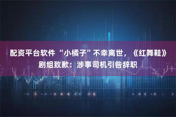 配资平台软件 “小橘子”不幸离世，《红舞鞋》剧组致歉：涉事司机引咎辞职